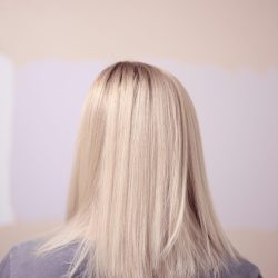 alexander-grey-ORCPTrkkezw-unsplash alexander-grey-ORCPTrkkezw-unsplash